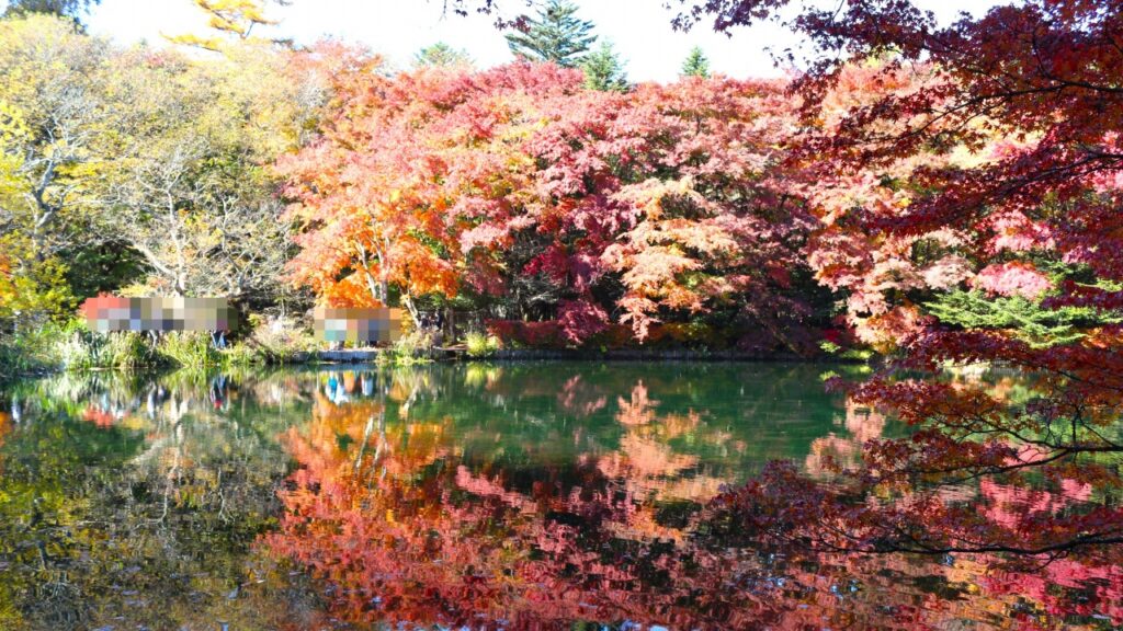 軽井沢 雲場池