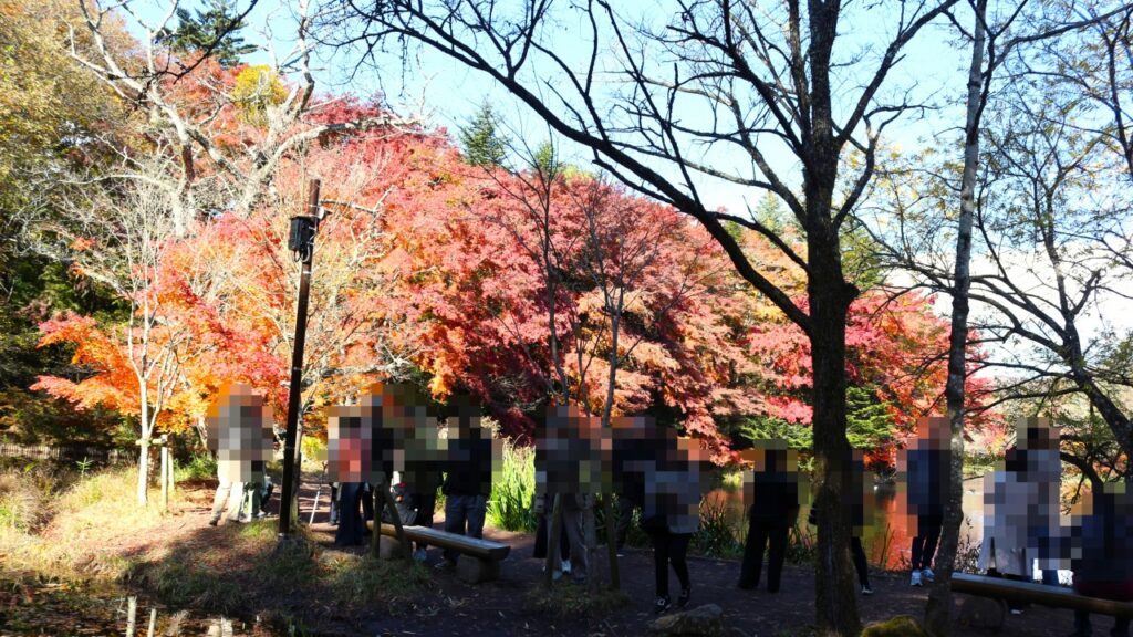 軽井沢 雲場池