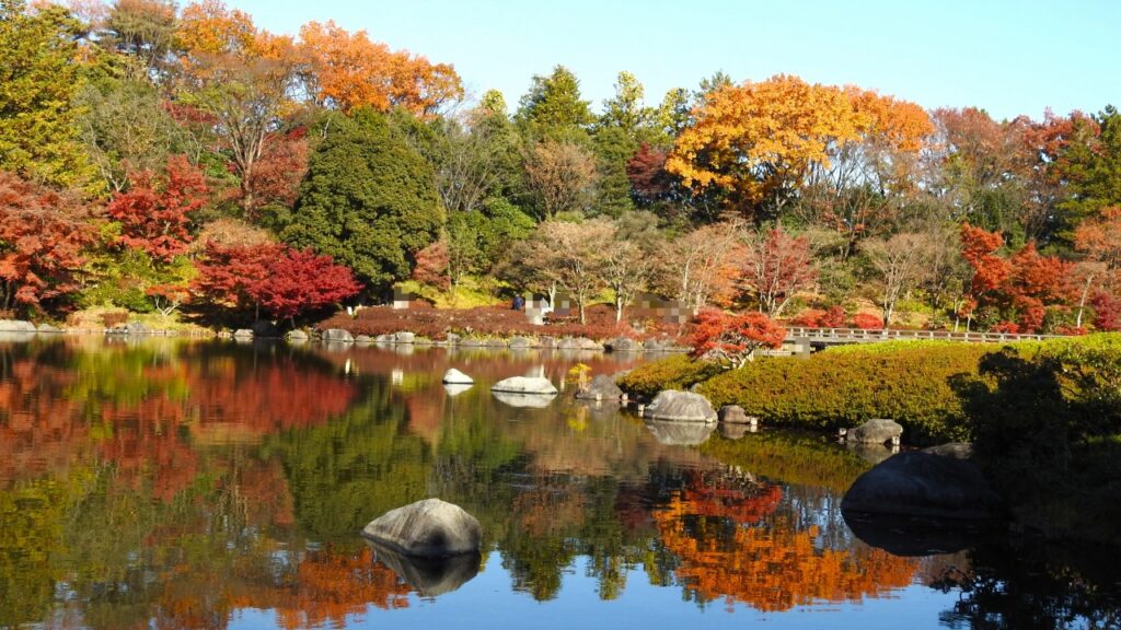 国営昭和記念公園　日本庭園