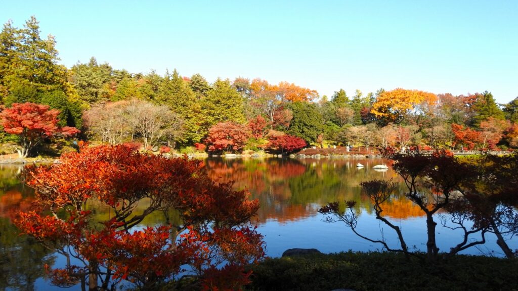 国営昭和記念公園　日本庭園