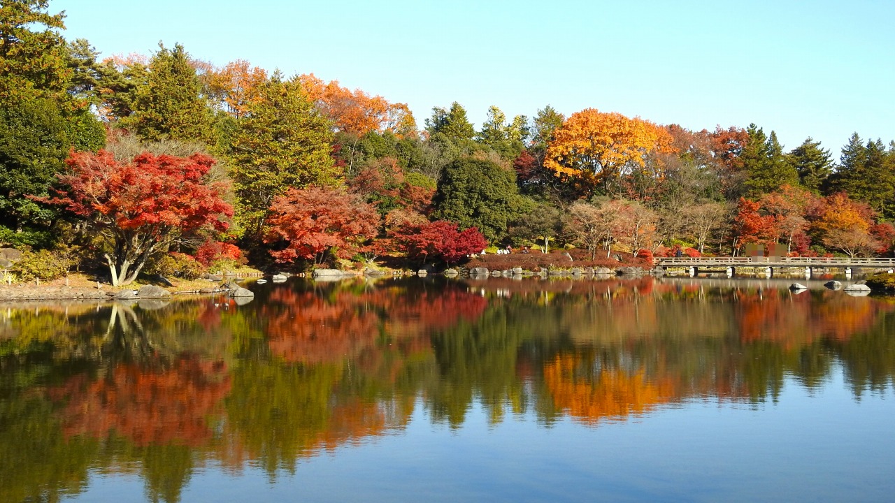 国営昭和記念公園　日本庭園