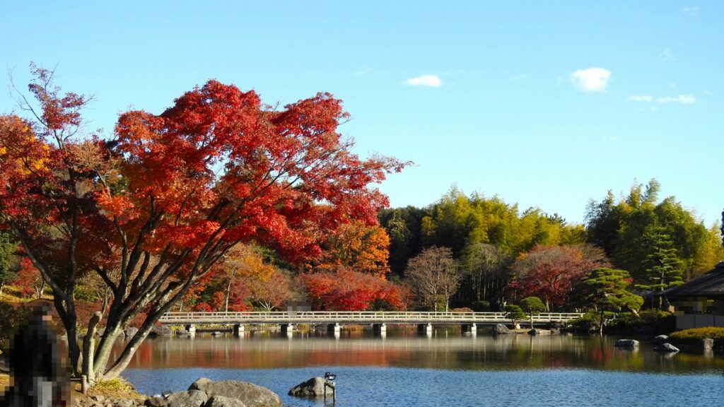 国営昭和記念公園　日本庭園　木橋