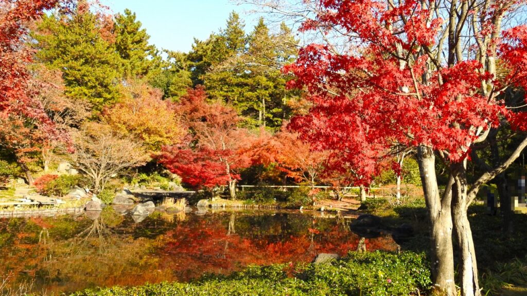 国営昭和記念公園　日本庭園