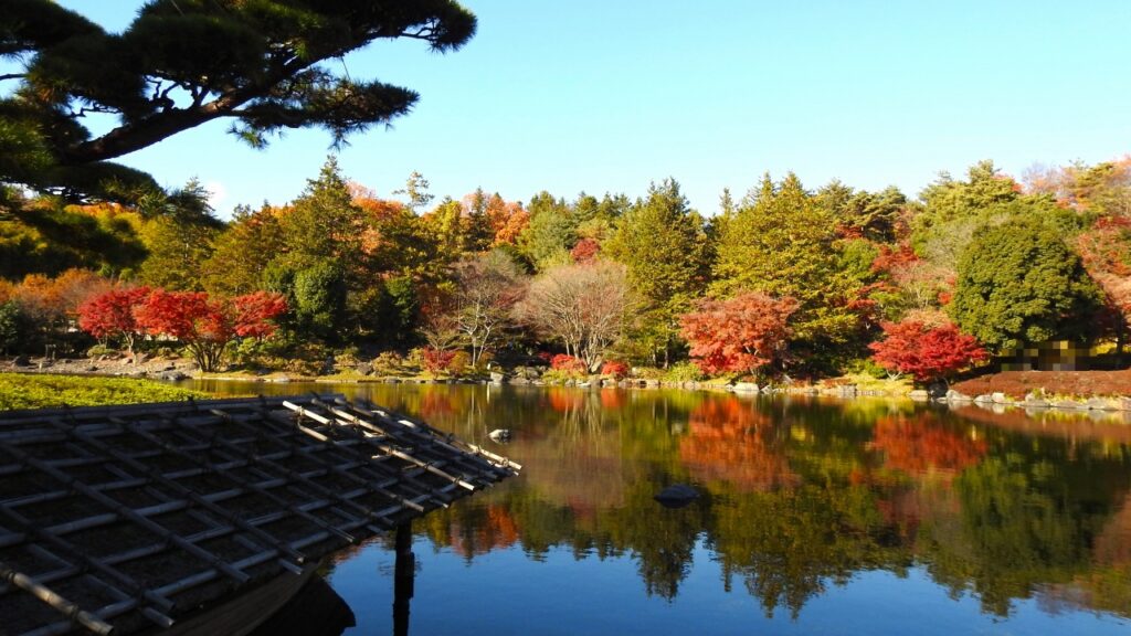 国営昭和記念公園　日本庭園