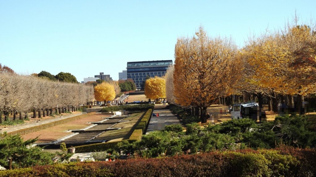 国営昭和記念公園　カナール