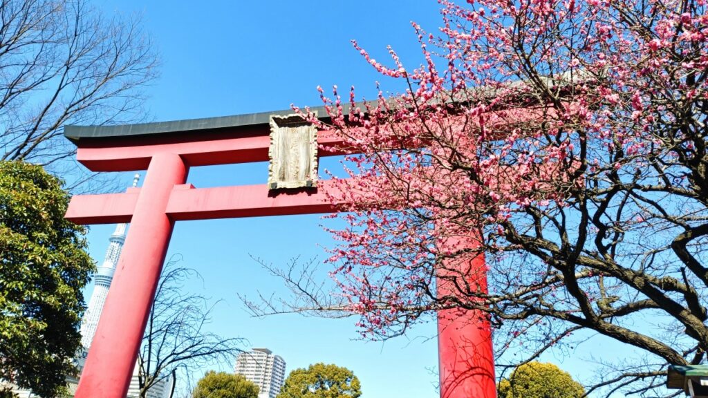 亀戸天神社 鳥居