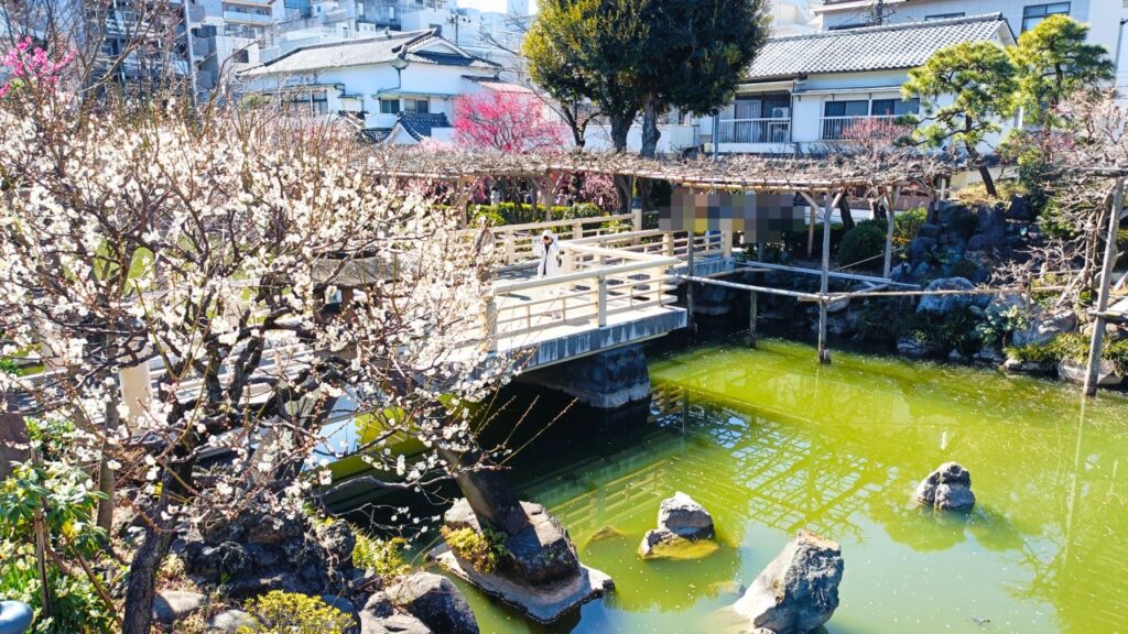 亀戸天神社