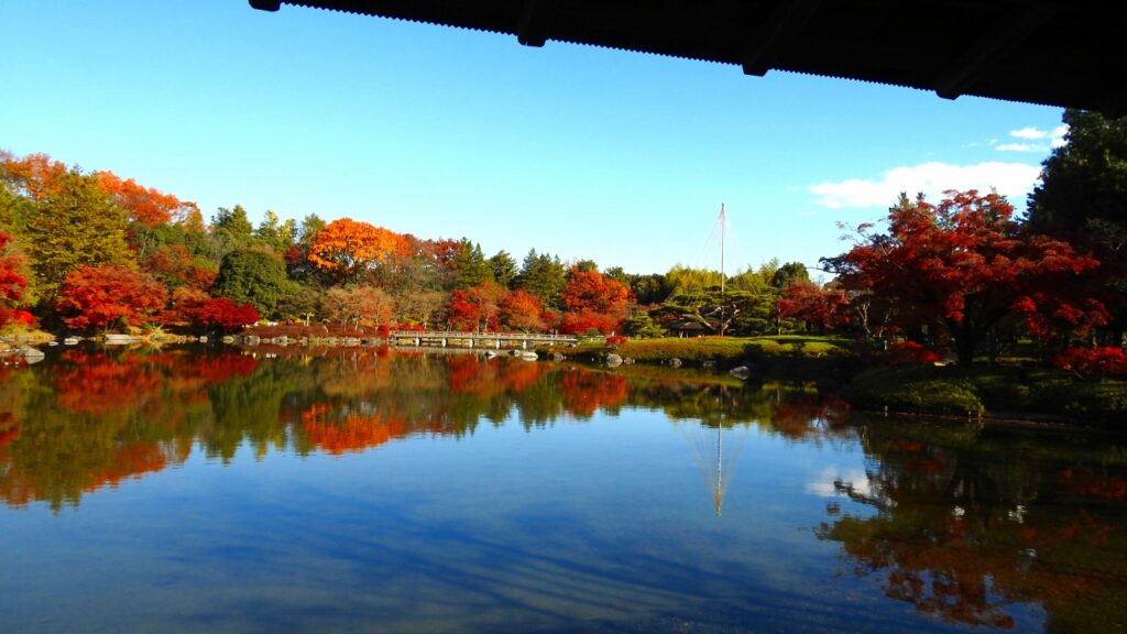国営昭和記念公園