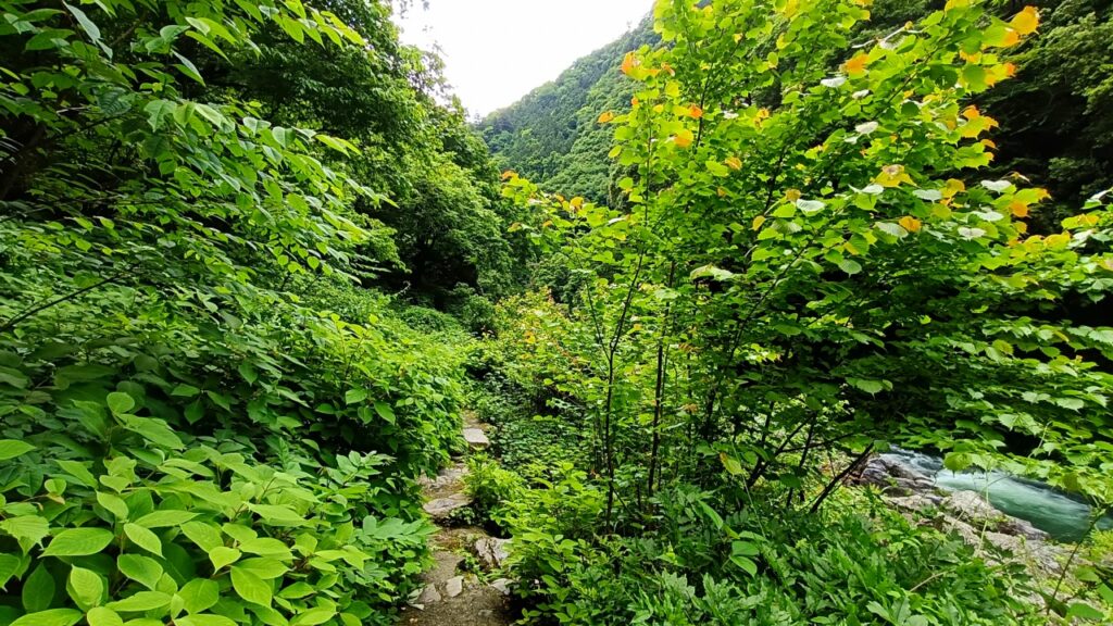 鳩ノ巣渓谷
