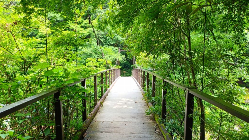 鳩ノ巣小橋(はとのすこはし)