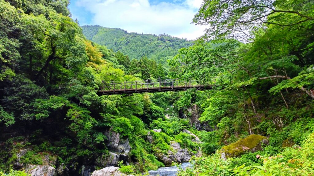 鳩ノ巣小橋(はとのすこはし)