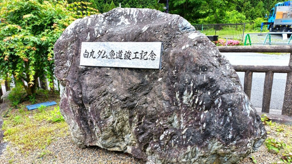白丸ダム 魚道(ぎょどう)
