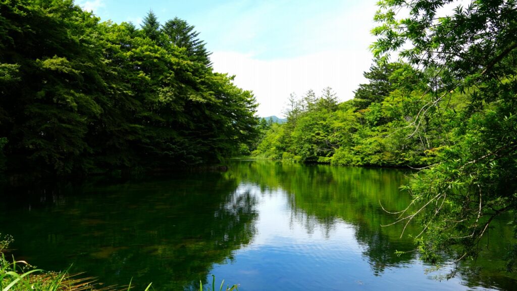 軽井沢 雲場池