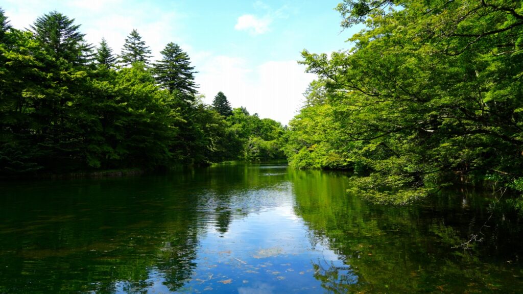 軽井沢 雲場池