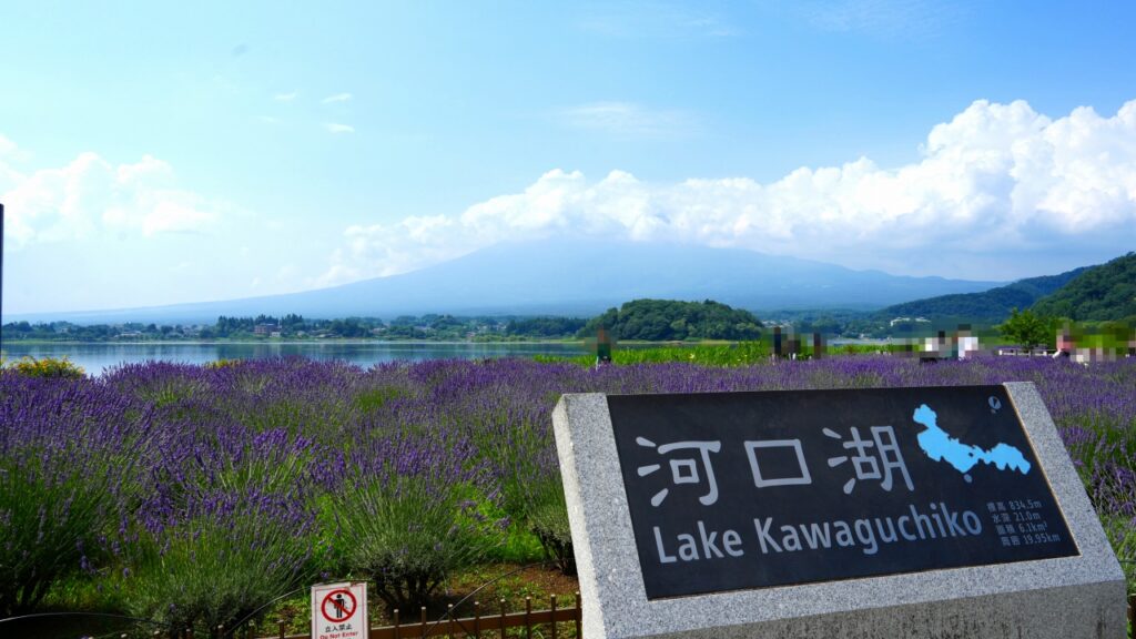 河口湖 大石公園