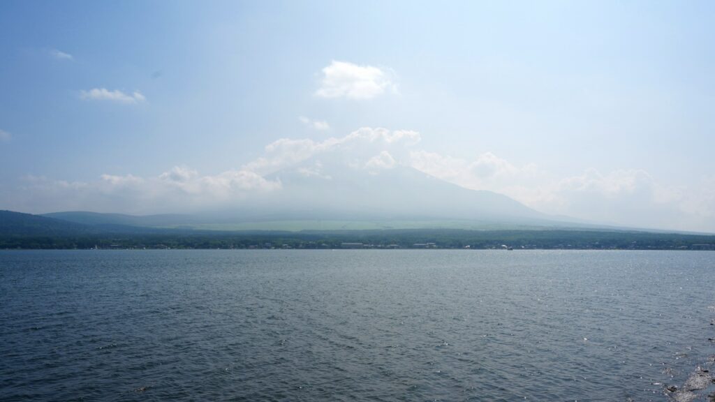 山中湖 長池親水公園