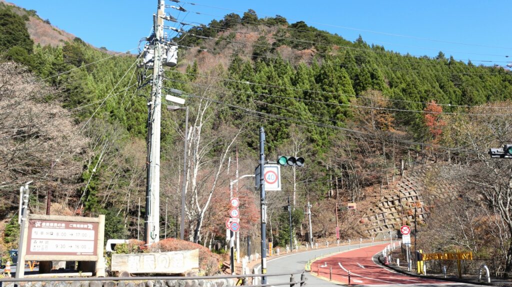 奥多摩 檜原都民の森