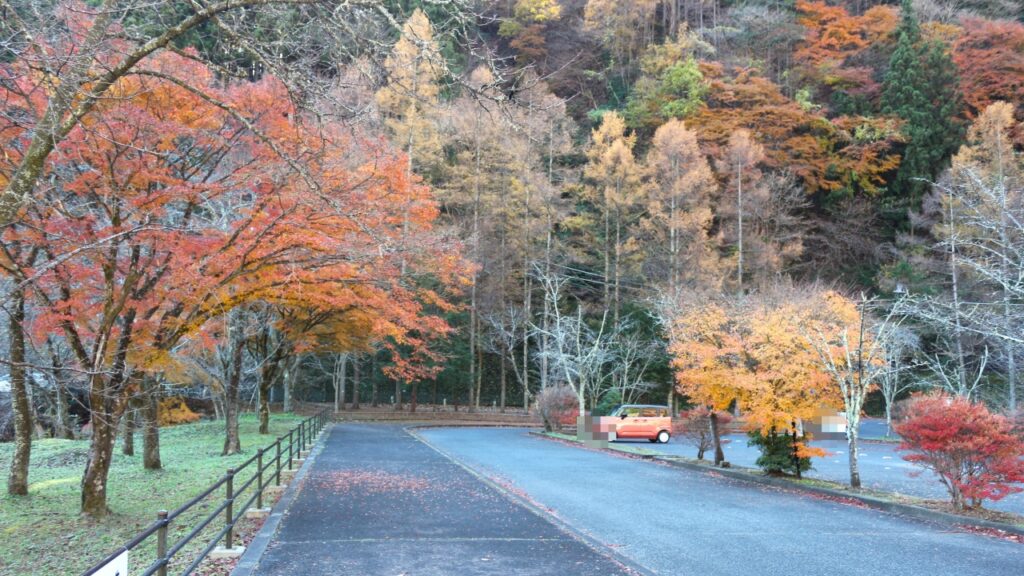 奥多摩湖 大麦代駐車場