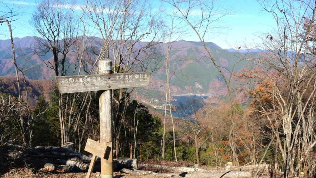 奥多摩周遊道路 月夜見第一駐車場