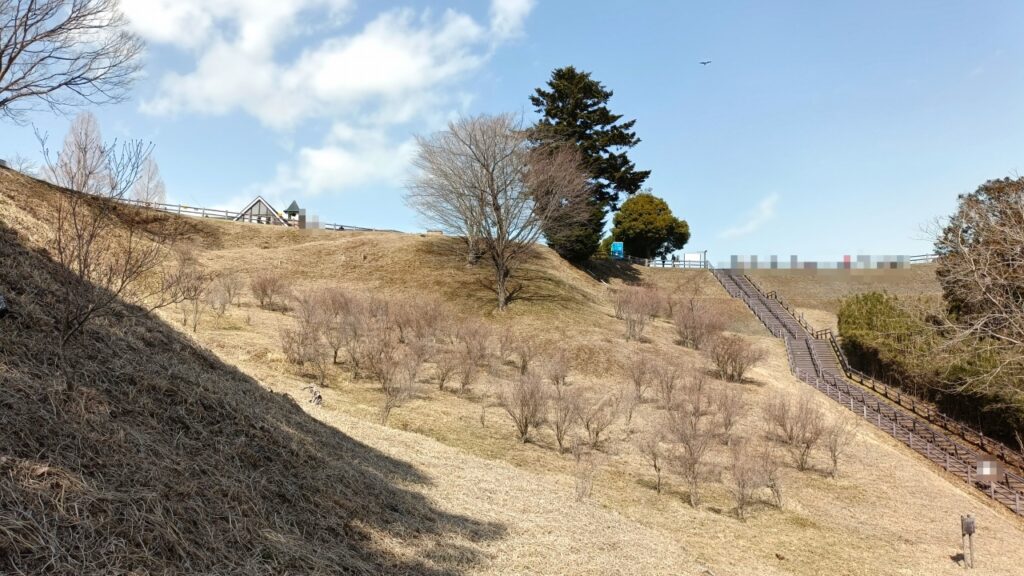 宮ケ瀬湖 鳥居原園地